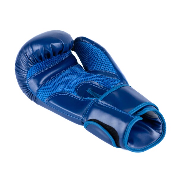 Boxerské rukavice DBX BUSHIDO ARB-407-Blue, vel. 12oz