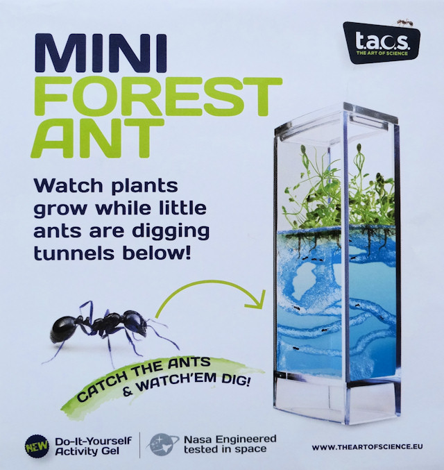 T.A.O.S. Forest Ant Mini Antquarium, Mravenčí akvárium