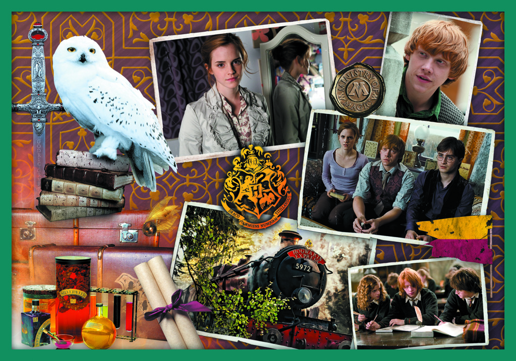 Trefl puzzle set 10v1 - Ve světě Harryho Pottera