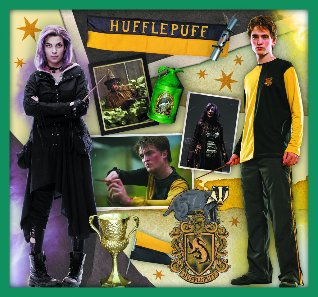 Trefl puzzle set 10v1 - Ve světě Harryho Pottera