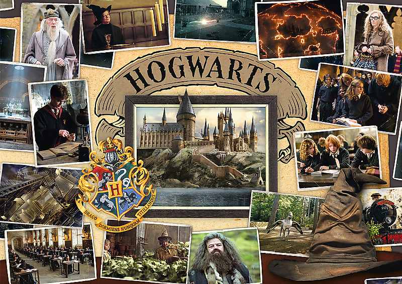 Trefl puzzle set 3v1 - Harryho Potter, Tournament