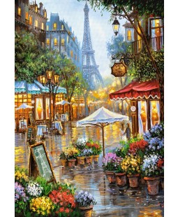 Castorland puzzle 1000 dílků - Jarní květiny Paříž