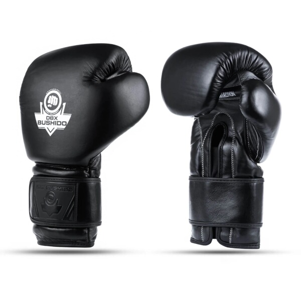 Boxerské rukavice DBX BUSHIDO B-ProFight 10oz.