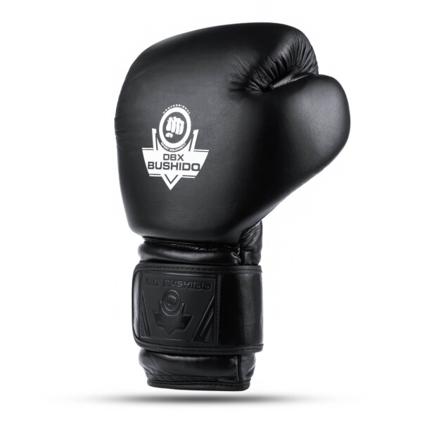 Boxerské rukavice DBX BUSHIDO B-ProFight 10oz.