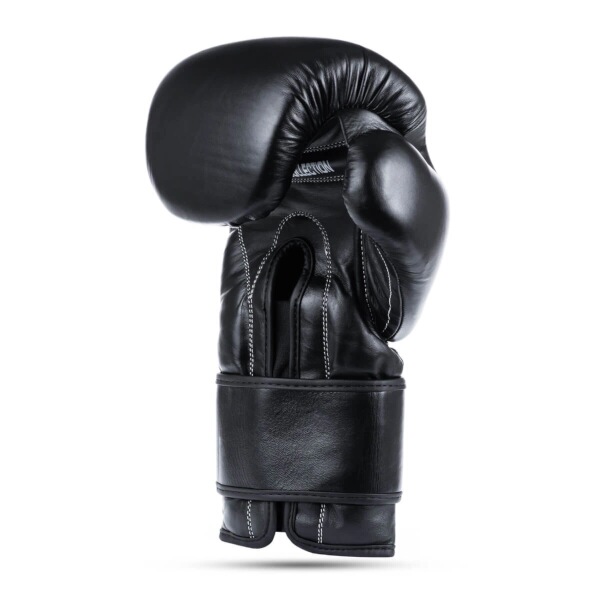 Boxerské rukavice DBX BUSHIDO B-ProFight 10oz.