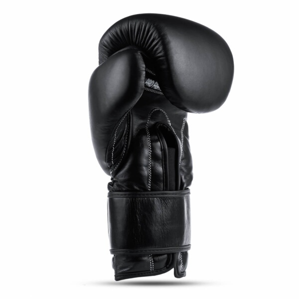 Boxerské rukavice DBX BUSHIDO B-ProFight 12oz.