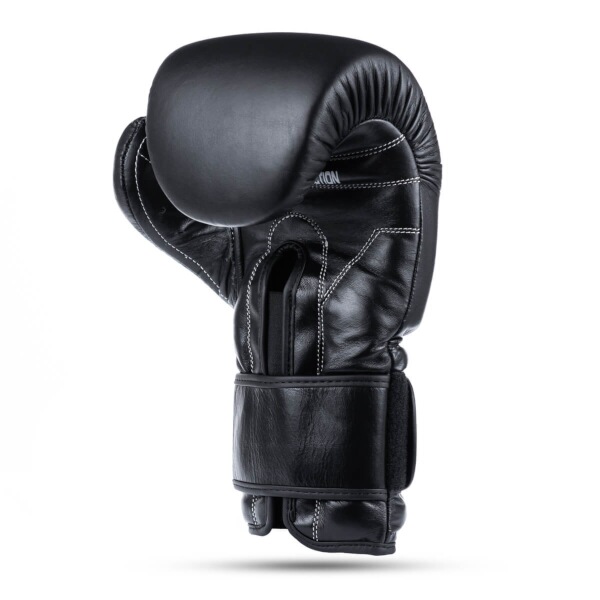 Boxerské rukavice DBX BUSHIDO B-ProFight 16oz.