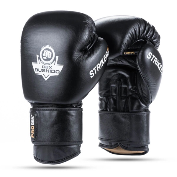 Boxerské rukavice DBX BUSHIDO Striker 12oz.