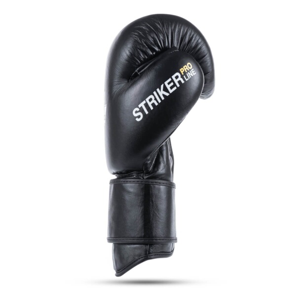 Boxerské rukavice DBX BUSHIDO Striker 14oz.