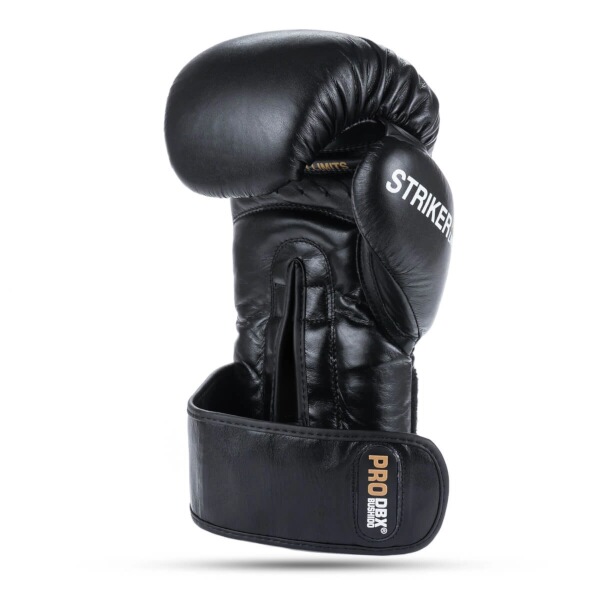 Boxerské rukavice DBX BUSHIDO Striker 14oz.