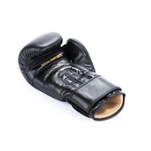 Boxerské rukavice DBX BUSHIDO Striker 16oz.