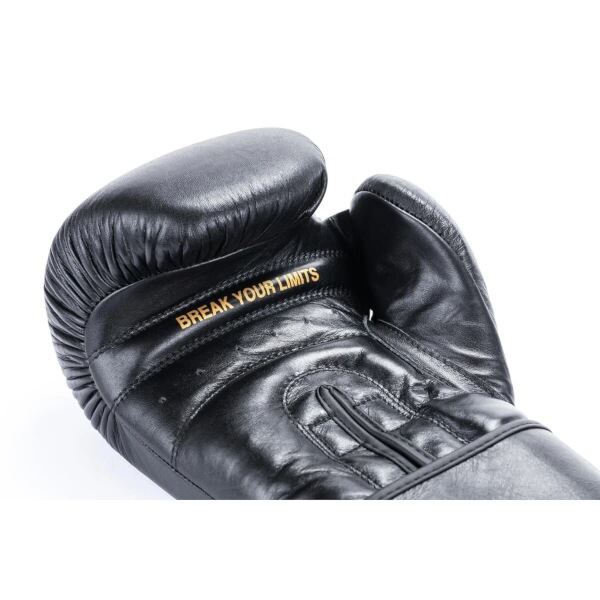 Boxerské rukavice DBX BUSHIDO Striker 16oz.