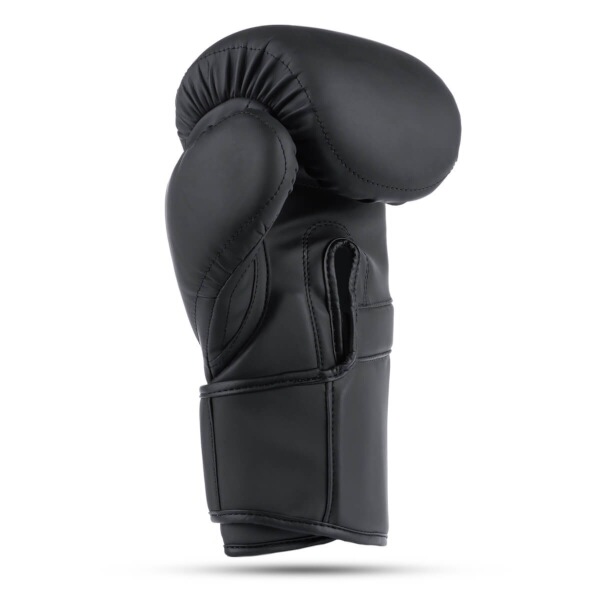 Boxerské rukavice DBX BUSHIDO B-2v15B 10oz.