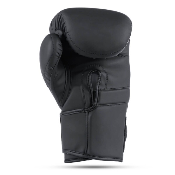 Boxerské rukavice DBX BUSHIDO B-2v15B 10oz.