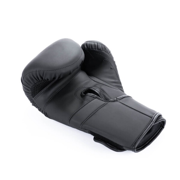 Boxerské rukavice DBX BUSHIDO B-2v15B 14oz.