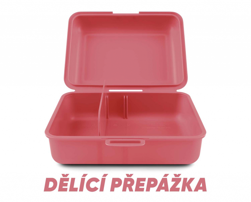 BAAGL Box na svačinu Sova