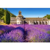 Castorland puzzle 1000 dílků - Levandulové pole v Provence