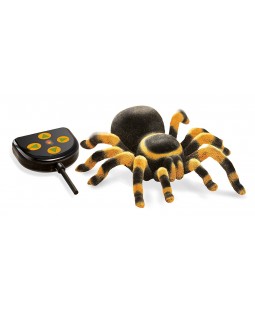 BUKI RC Tarantule