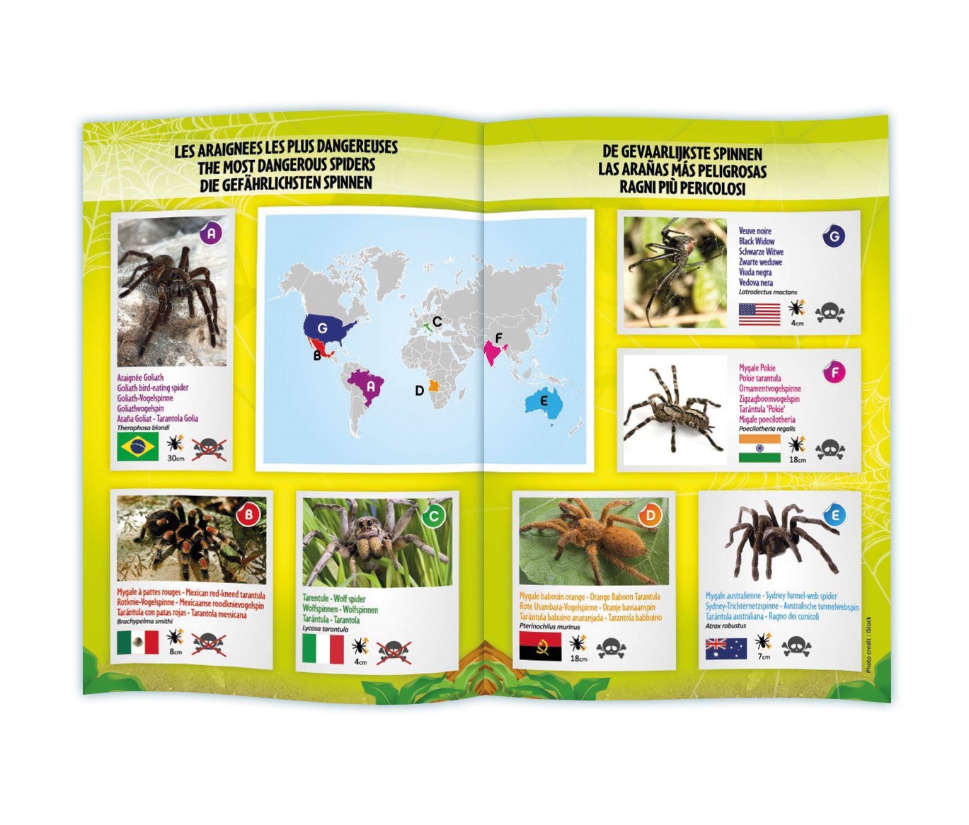 BUKI RC Tarantule