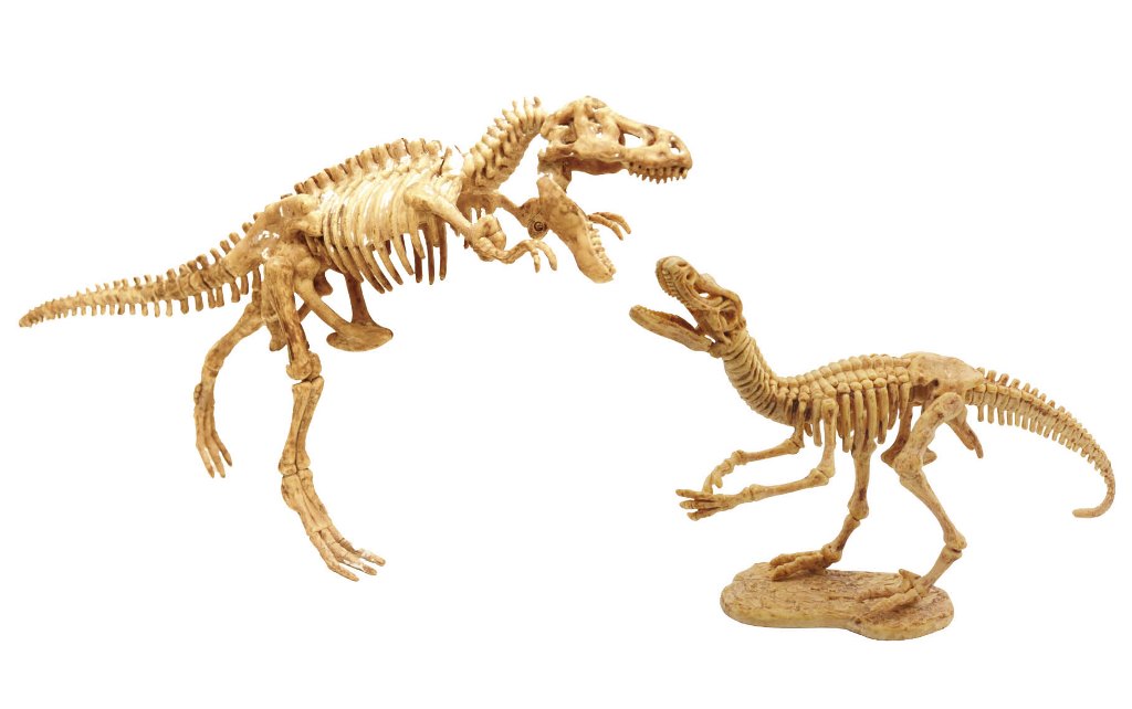 BUKI DinoDIG vykopávka 2 predátorů