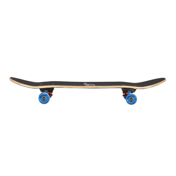 Skateboard Nils Extreme CR3108SA Spot, 78x20 cm
