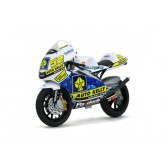 Aprilia RSW 250LE (2008) 1:18