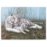 Malování obrázků podle čísel - Bílý tygr s mládětem 40 x 30