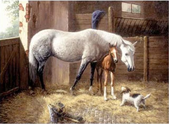 Obrázky 40 x 30 cm