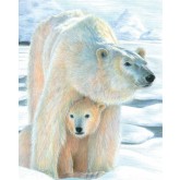 Royal Langnickel Malování podle čísel pastelkami - Lední medvěd