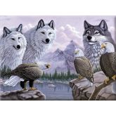 Malování podle čísel - Vlci a orli  40 x 30 cm
