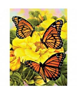 Malování obrázků podle čísel - Motýlci  22 x 30 cm