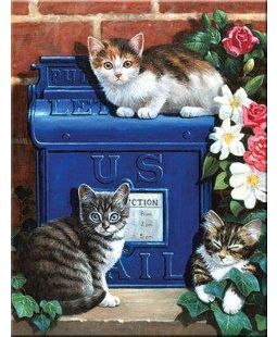 Malování obrázků podle čísel - Poštovní schránka  22 x 30 cm