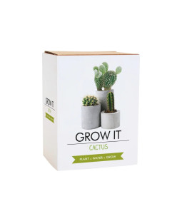 Grow it - Kaktus