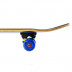 Skateboard Nils Extreme CR3108SB SKB BOY, 78x20 cm