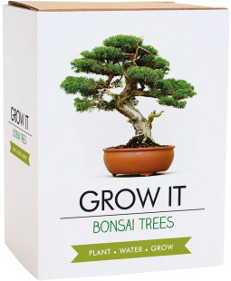 Gift Republic Sada na vypěstování Bonsai