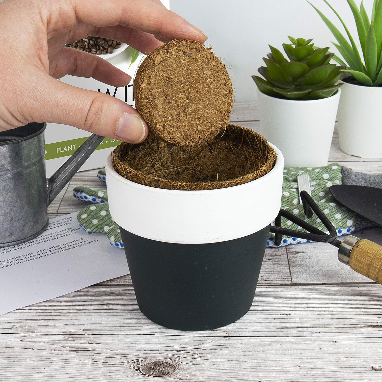 Grow it - Bonsai