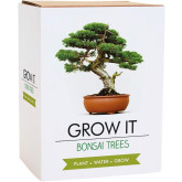 Gift Republic Sada na vypěstování Bonsai