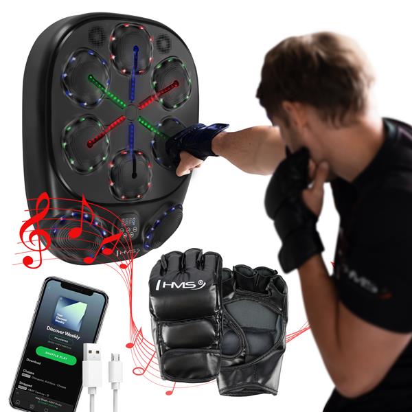 Elektronický boxerský terč HMS TB10 s LED, Bluetooth, rukavice (Music Boxing Machine)