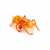 HEXBUG Micro Ant oranžový