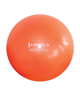 Gymnastický míč HMS YB01, 55 cm, oranžový