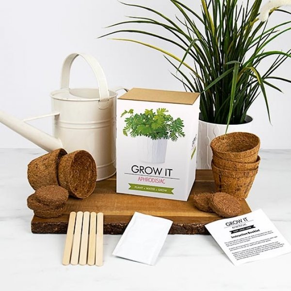 Gift Republic Grow it, afrodiziakální rostlina