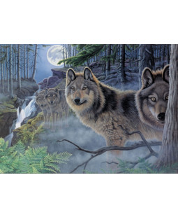 Royal Langnickel Malování podle čísel - Vlci v noci, 40x30 cm