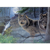 Royal Langnickel Malování podle čísel - Vlci v noci, 40x30 cm