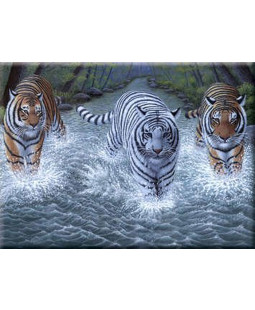 Royal Langnickel Malování podle čísel - Tři vlci, 40x30 cm