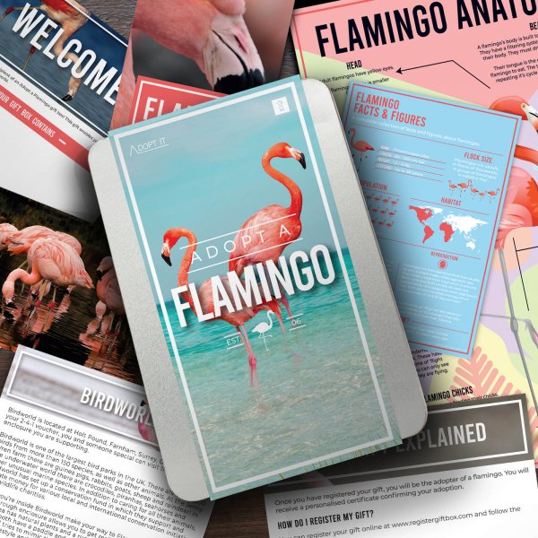 Adoptuj plameňáka, Dárkový certifikát