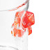 Gadget Maste Sklenice s kostkami 280 ml.