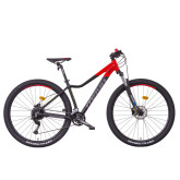Mayo XC 29