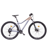 Mayo XC 29