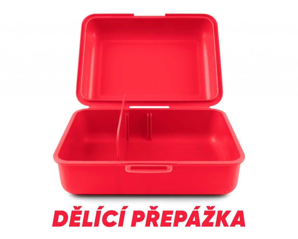 BAAGL Box na svačinu Teribear