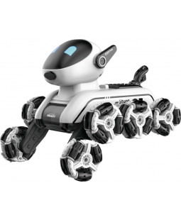RoboPes Fleg